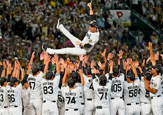 ⚾阪神タイガース「リーグ優勝報告会」3,000名様 招待 (11/11まで) #プロ野球 #野球 #阪神タイガース #招待 #阪神優勝　 🔥social-present.com/sports-present…