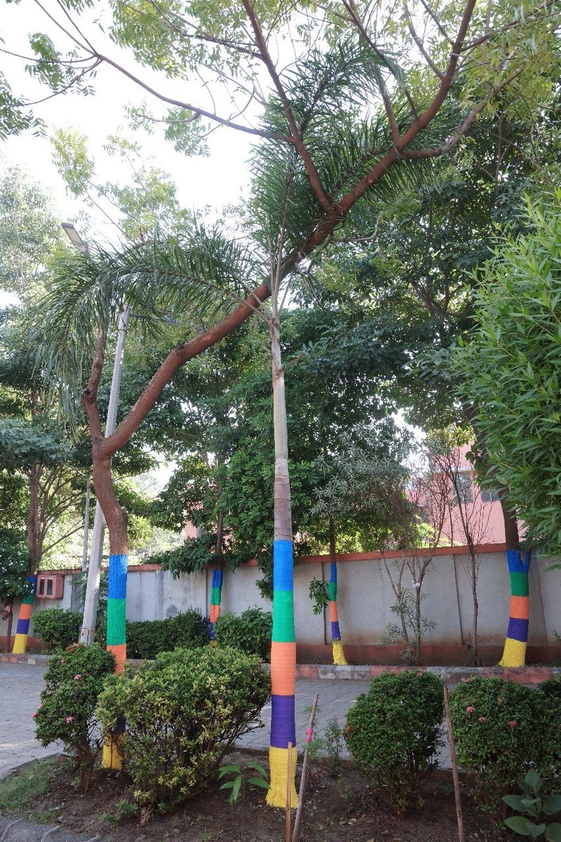 "RETURN TO NATURE – સ્વચ્છતા અને સૌંદર્યનો સંકલ્પ" 🌿

"જ્યા સ્વચ્છતા છે, ત્યા પરમેશ્વરનો વાસ છે.” - આ પવિત્ર વિચારને સાકાર કરવા માતોશ્રી ચેરિટેબલ ટ્રસ્ટ દ્વારા અંકલેશ્વર શહેરી વિસ્તારોમાં લગભગ ૭૦૦ વૃક્ષોને રંગીને વધુ આકર્ષક અને જીવંત બનાવવા માટે એક અનોખી પહેલ હાથ ધરવામાં આવી છે.