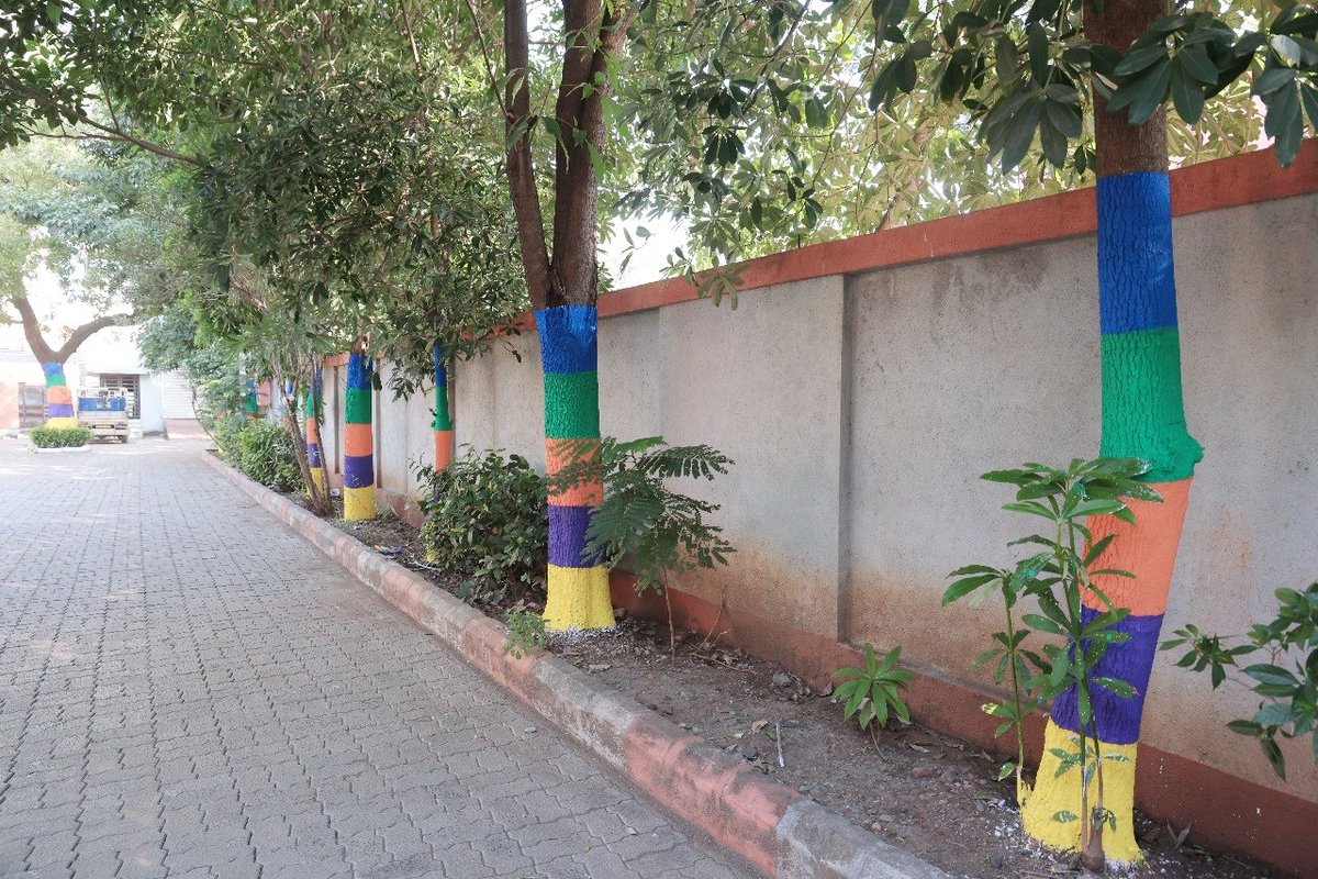 આજે મે પણ પ્રકૃતિ પ્રત્યે આદર અને સ્વચ્છતા પ્રત્યે પ્રતિબદ્ધતાના પ્રતીક રૂપે આ પહેલમાં સહભાગી થઈને વૃક્ષને રંગ આપ્યો. 

આ કાર્ય માત્ર શૃંગાર નથી, ત્યારે આપણે સૌ મળીને “RETURN TO NATURE” ની ઉદાર ભાવનાને જીવનમાં ઉતારીએ અને આપણા શહેરને હરિયાળુ, સ્વચ્છ અને રંગીન બનાવીએ...

#GreenCity