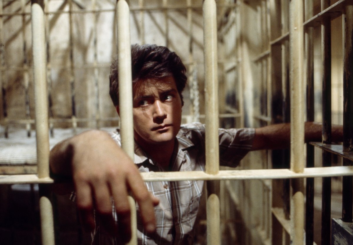 JESSE ☆ tweet media