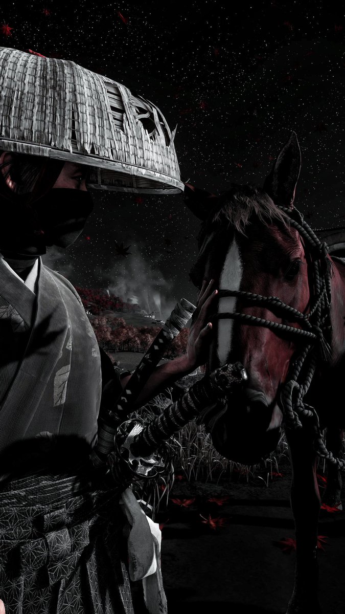 GrayFoxVP's tweet image. Just the two of us.

#GhostofYotei 
#TheCapturedCollective 
#ItHappensOnPS5
#VirtualPhotography