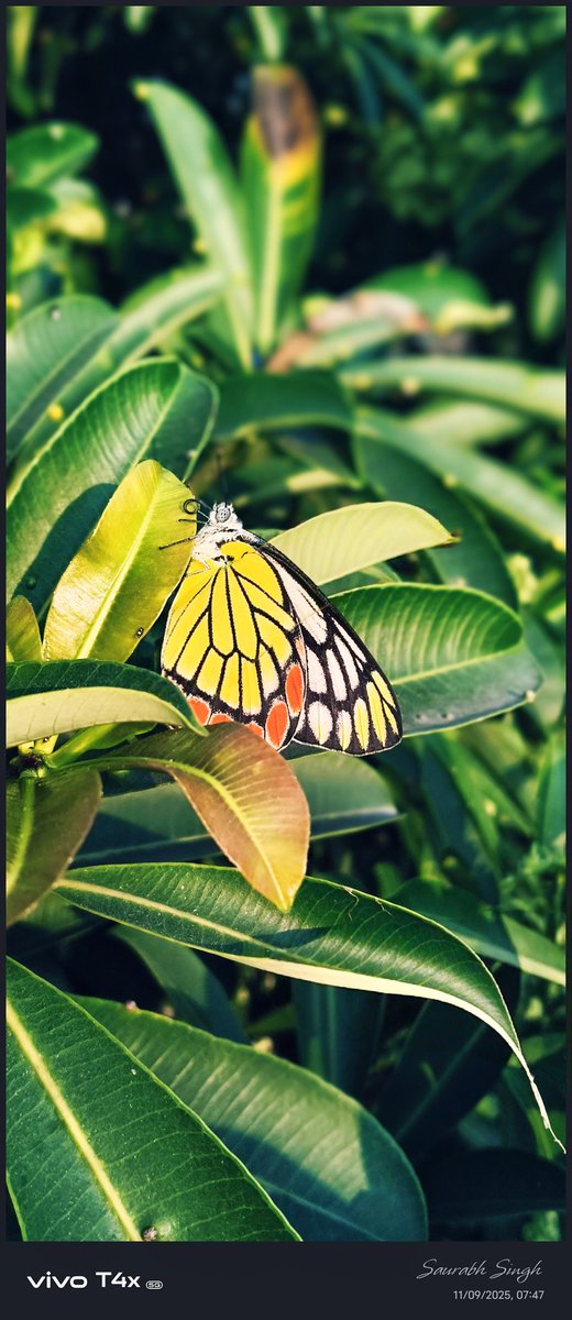 Rangrez777's tweet photo. #photographytechnology
💚💚 https://t.co/4VsfzdHcUv