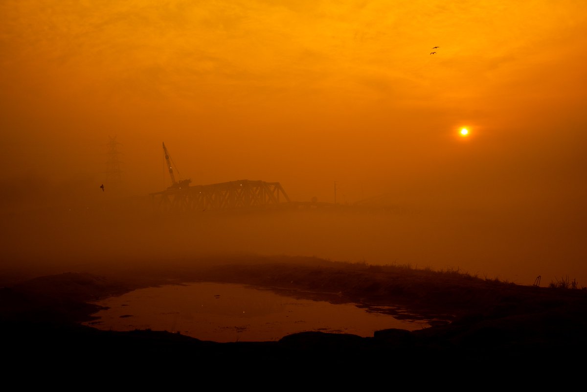 subhrojitdeyFWD's tweet image. Photos I took in India