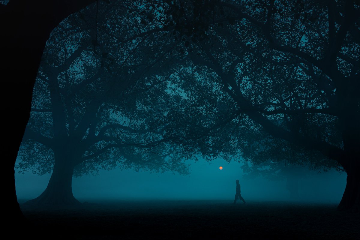 subhrojitdeyFWD's tweet image. Photos I took in India