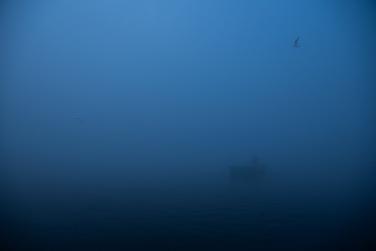 subhrojitdeyFWD's tweet image. Photos I took in India