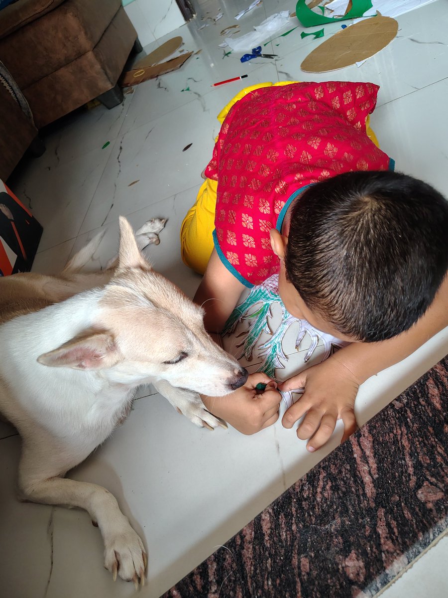 Rashmi45320890's tweet photo. #SaveIndianDogs #NoDogsNoVote #AwaraNahiHamaraHai #UnitedForCompassion https://t.co/zAnKzedFhL