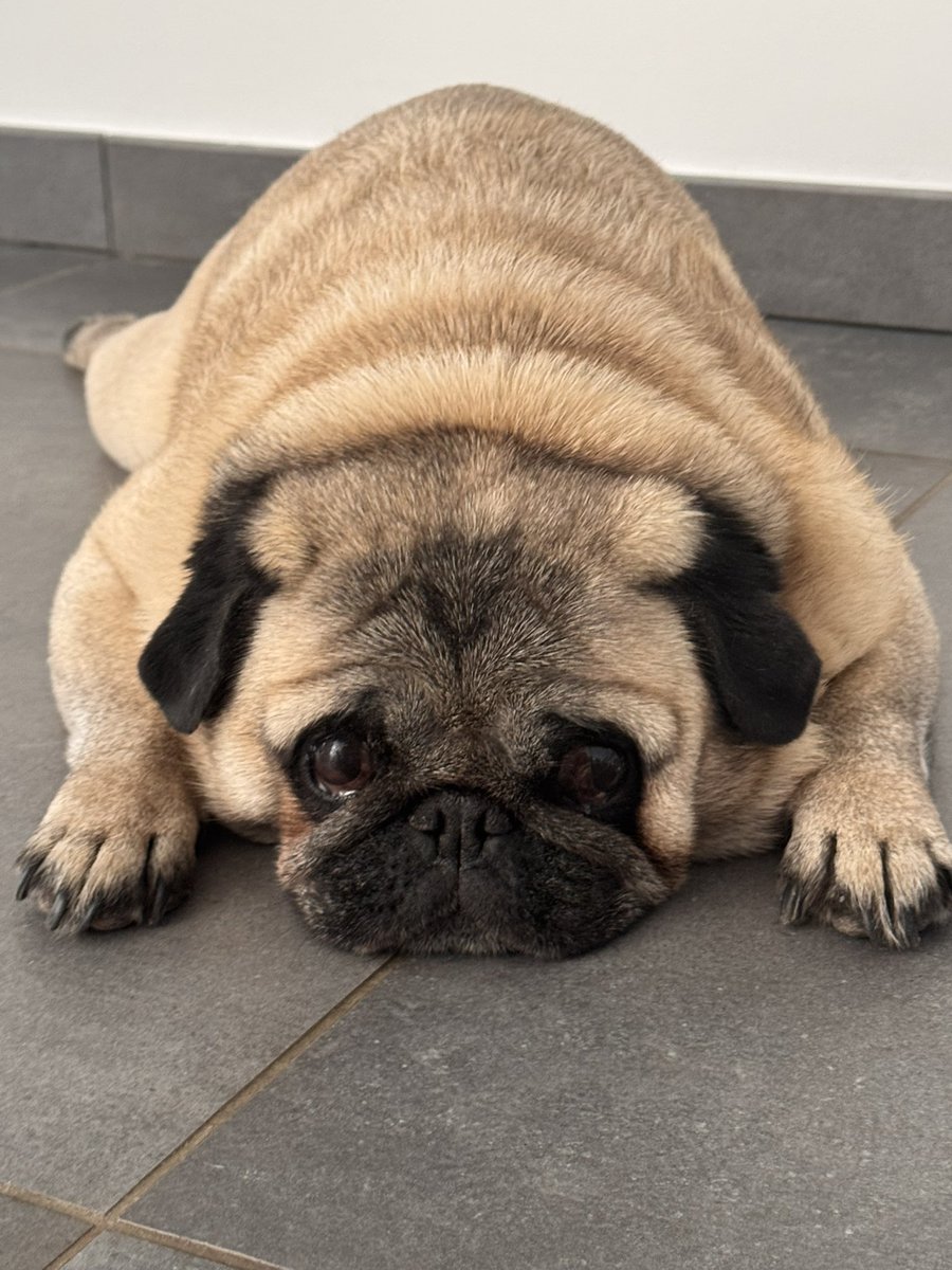 Je t’aime mon meilleur ami ❤️🪽 je suis si triste… Tu vas tellement nous manquer