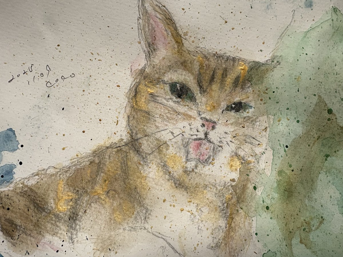 偶然の産物 tweet media