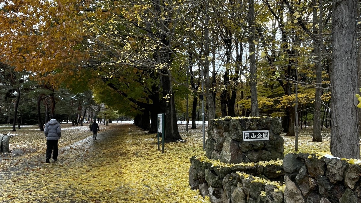 ピラケシパパ (@pirakes_papa) / Posts / X