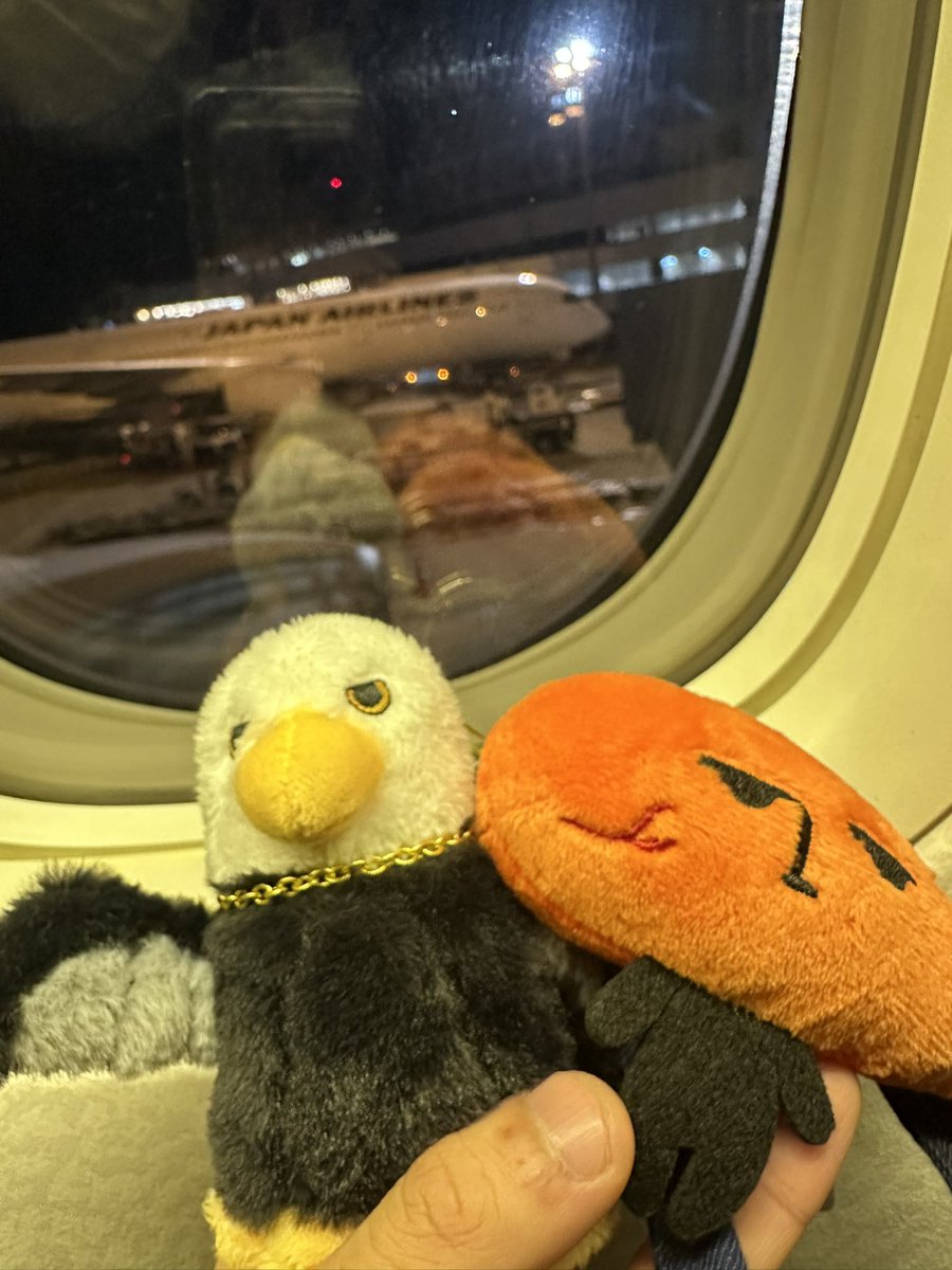 バイバイ福岡！👋
また絶対行く！楽しかったなぁ🦅

 #BABELnoTOH