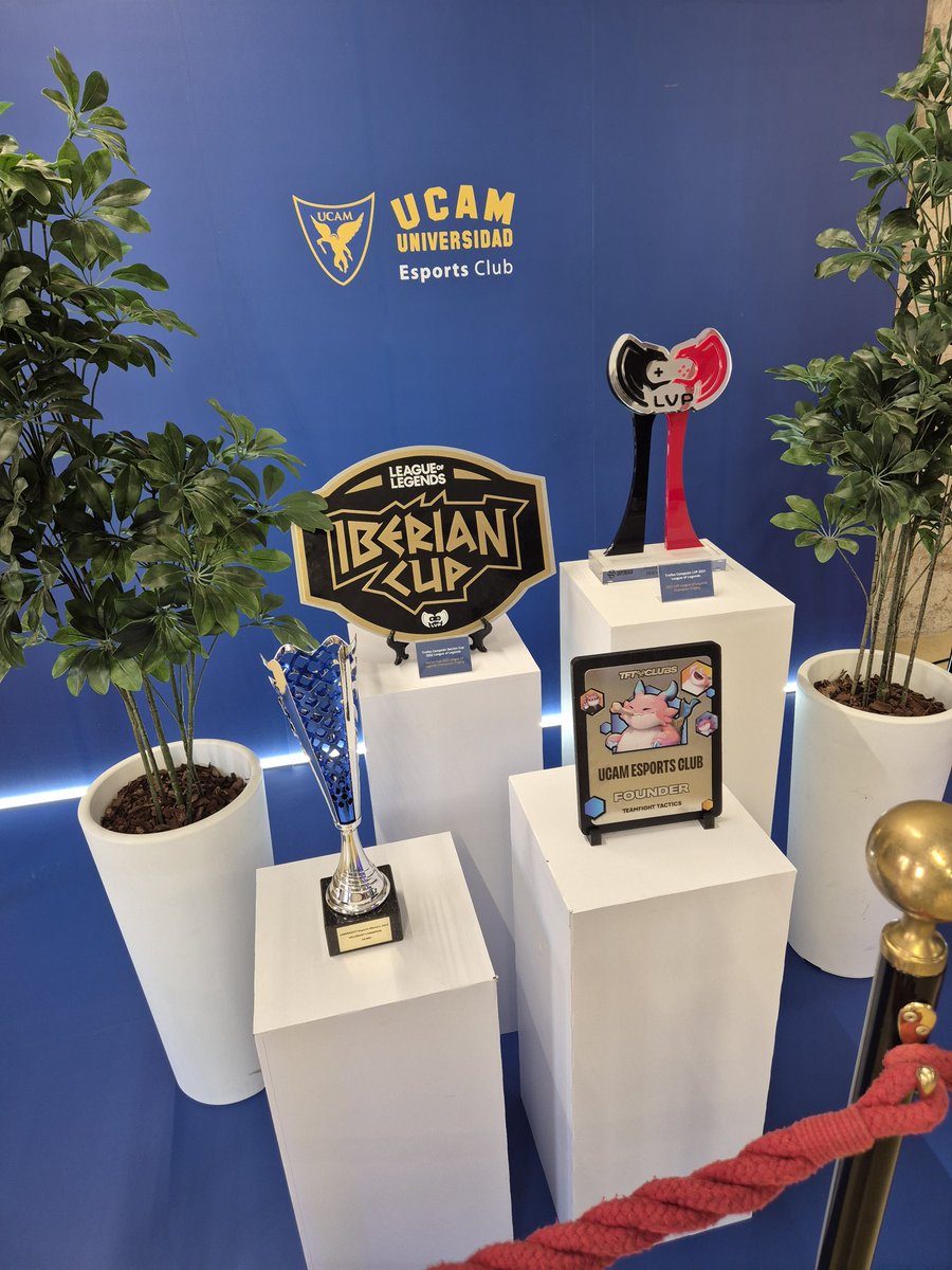 LuisEAular's tweet image. #TFTSpanishMajors