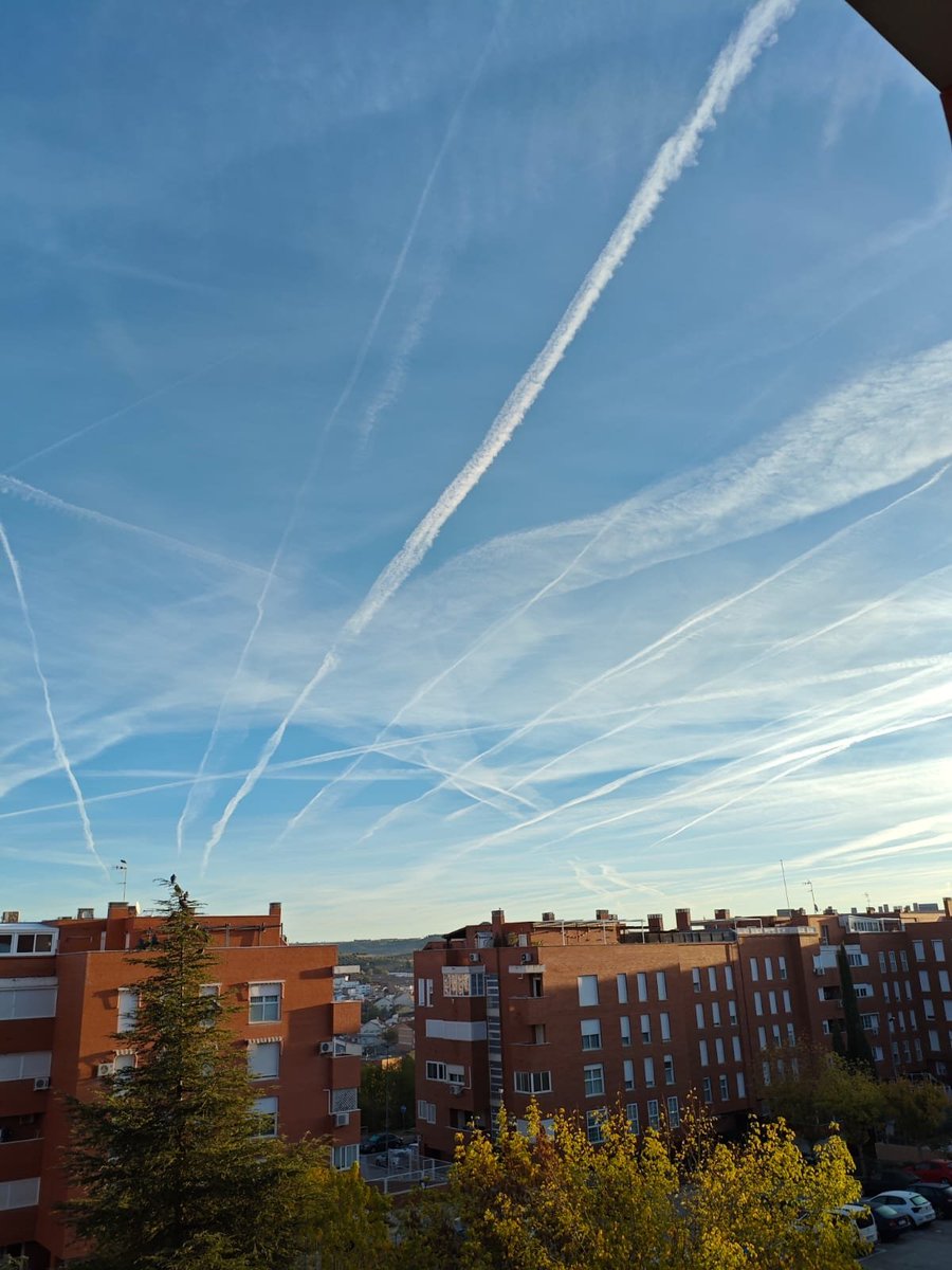 CrisNuo's tweet photo. @INEGI_chemtrail Pobres pajaritos https://t.co/RnNNhWV4oP