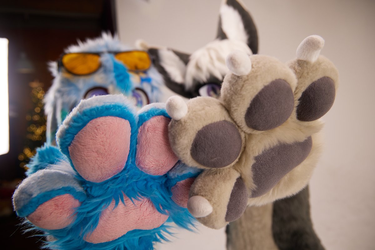 손! 🐾
🩶 : <a href="/crescen_fur/">크레센 Crescen 😼</a> 
📷 : <a href="/DOCH1_/">도치</a> 
#FursuitEveryday #Splash