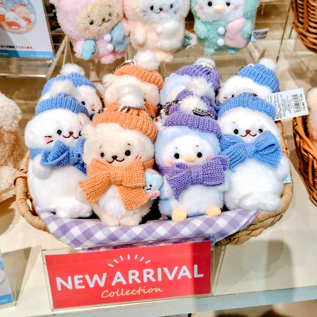 よっしー様♡ありがとうございます♡ よっしぃ on X