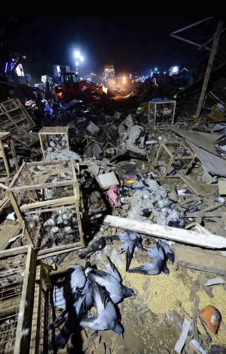 Mariam_uae11's tweet image. لاہور، داتا دربار کے سامنے آپریشن، یہ جرم ہے! یہ ظلم ہے، بےزبان جانوروں کو مارا گیا، مریم نواز ذمہدار ہیں۔۔#lahoredatadarbar
#Lahore #datadarbar #Pakistan #laborepolice