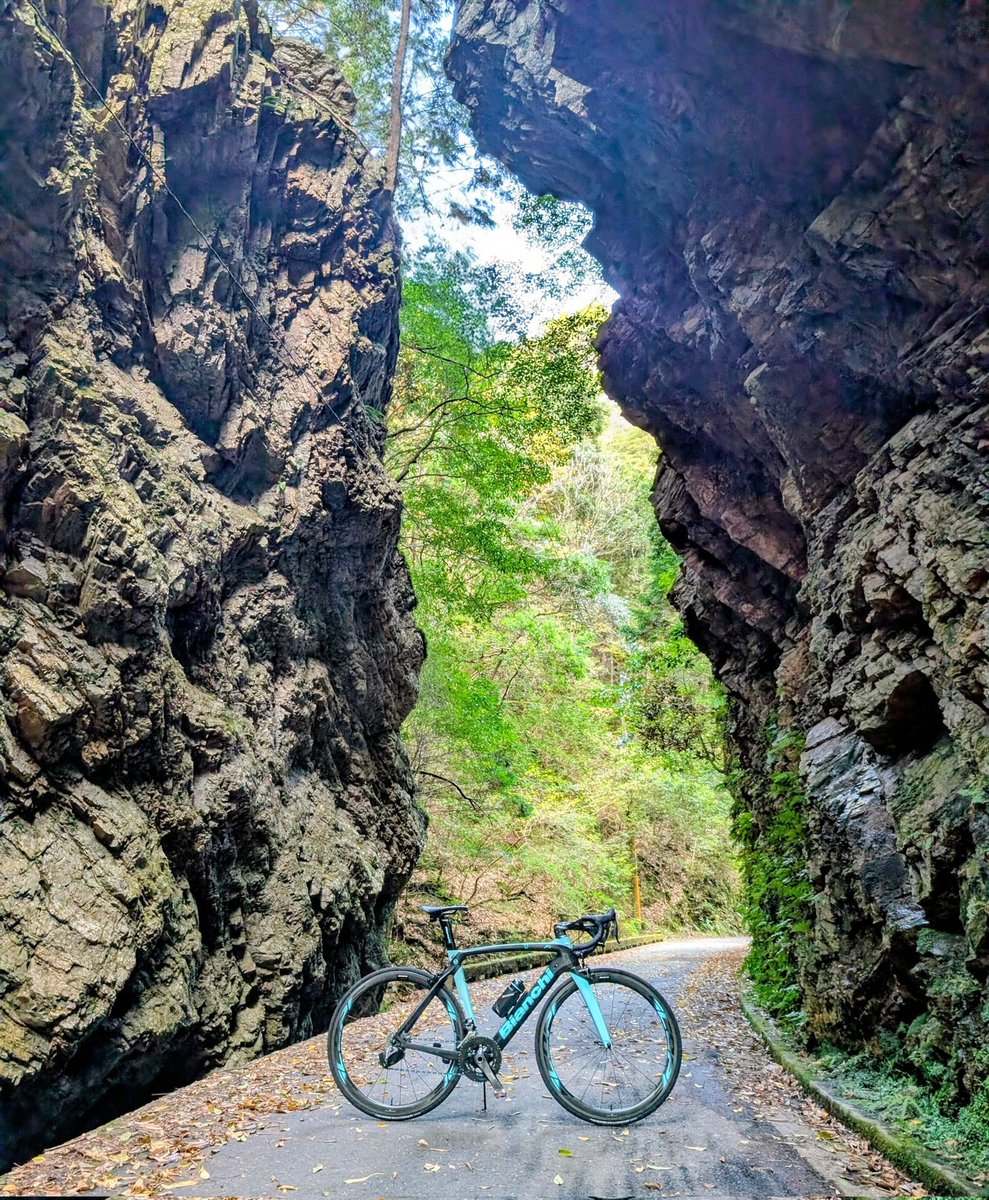 コタニ マサトシ Tani's *MASH* steel / BUILT BY BLUE LUG - CUSTOMER'S BIKE CATALOG