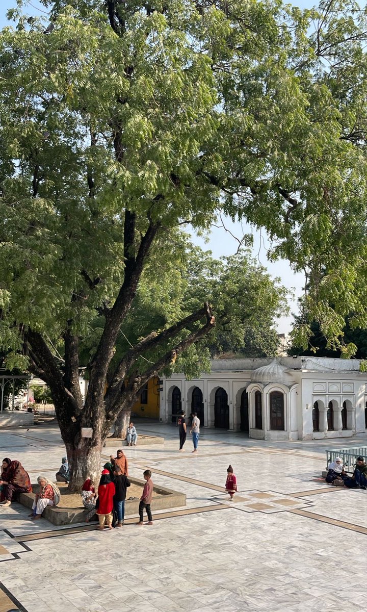 razi_ahmed_'s tweet image. Mian Mir Dargah #Lahore #Sundays