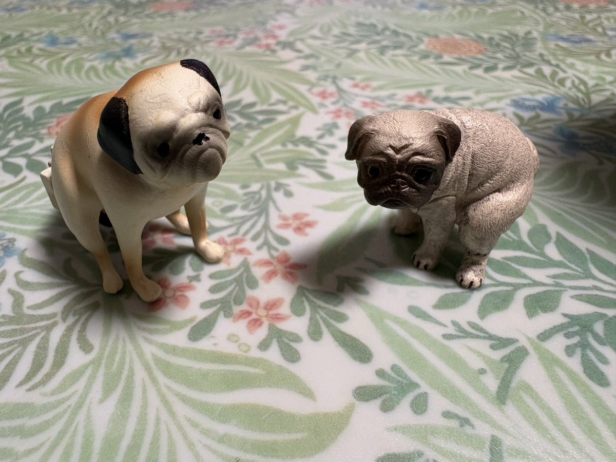 パグお(パグ愛好家) (@pug3ta) / Posts / X