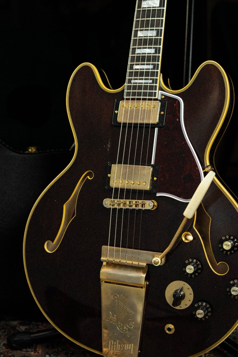 Dark brown cherry blood
      🤡🍒😎