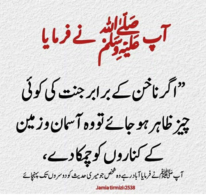 🪴السلام علیکم ورحمتہ اللہ وبرکاتہ 🪴 
🪴نماز پڑھیں 🪴قرآن مجید پڑھیں 🪴
#خاتم_النبیین_محمدﷺ