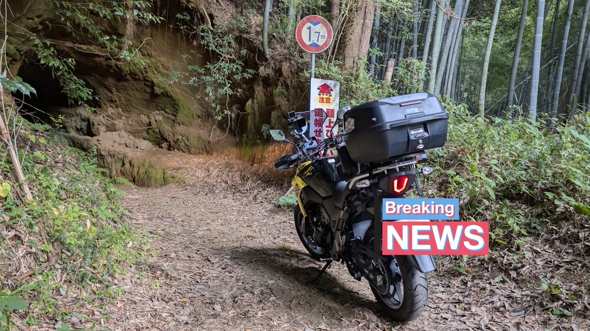 しんかい（甘さ控えめ・伊） on X