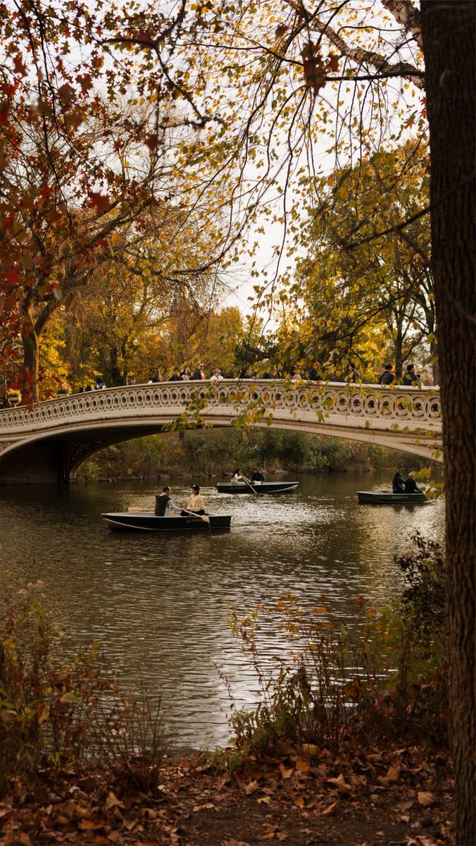 talya9646171863's tweet image. autumn in new York