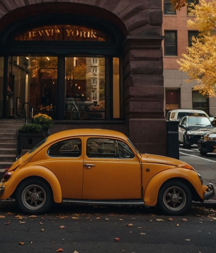 talya9646171863's tweet image. autumn in new York