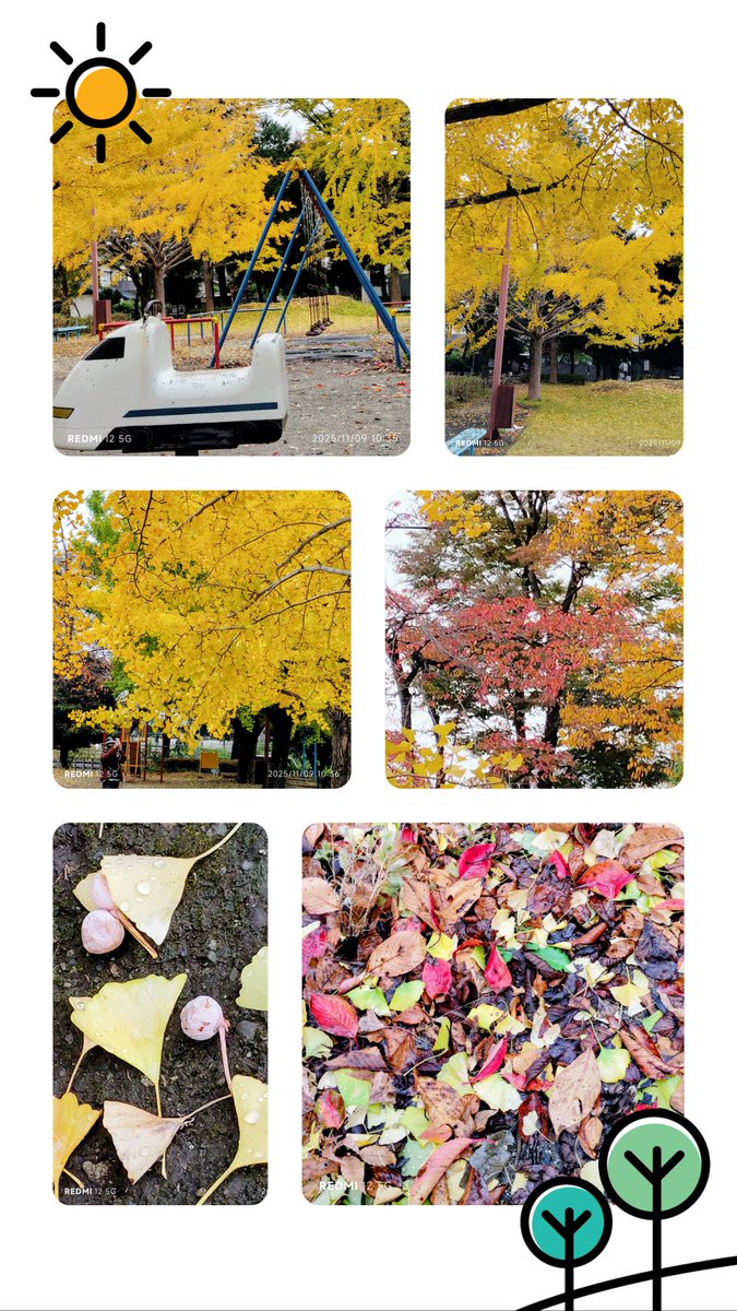 yokkoページです。 🍁✨🍂🌟♡ヨッコ*⁠♡ゆっくりマイペース🥵…🐈‍⬛🐈 on X