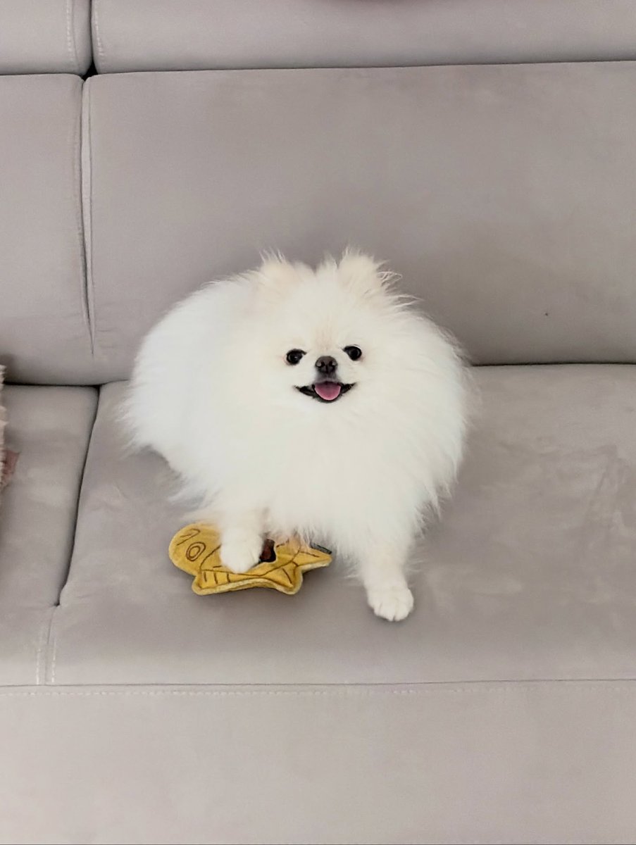 domdu_zip's tweet photo. 251109 돔두 인스타
https://t.co/D8pNqPzFBT https://t.co/kd6F63xxTM