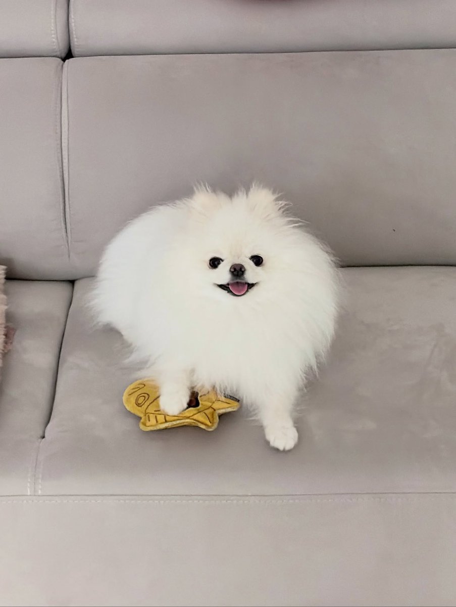 domdu_zip's tweet photo. 251109 돔두 인스타
https://t.co/D8pNqPzFBT https://t.co/kd6F63xxTM