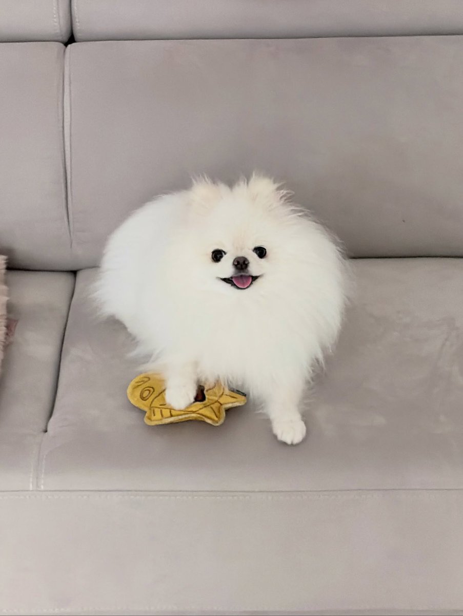 domdu_zip's tweet photo. 251109 돔두 인스타
https://t.co/D8pNqPzFBT https://t.co/kd6F63xxTM