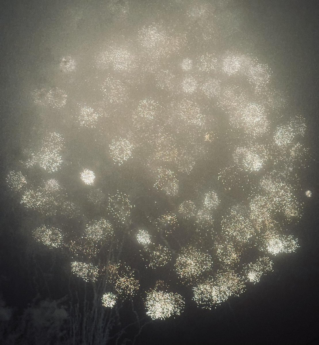 太公望魚信 on X