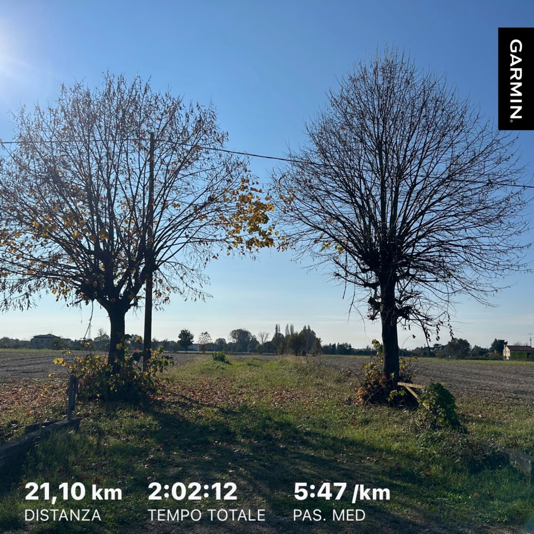 Ero partito per farne 30, a 21 mi sono bloccato completamente.
Oggi faccio un piccolo passo indietro, ma mi servirà per prendere meglio la rincorsa
#padova #corsa #obiettivi #padova #marathon