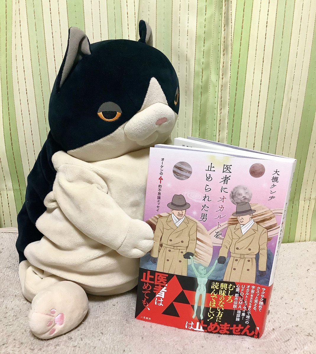 突然段ボール on X