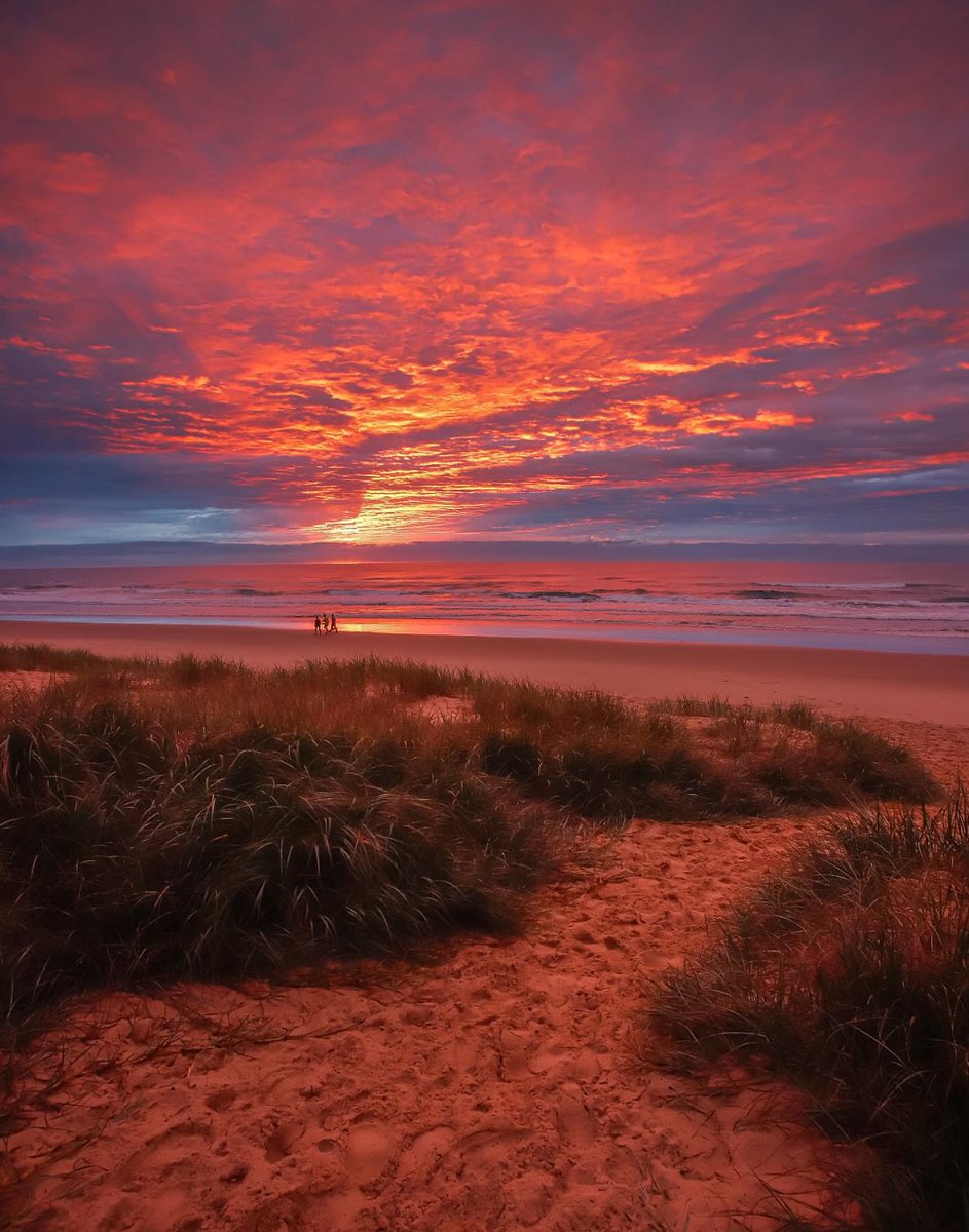 Sunshine Coast, Queensland ..
Australia ..
