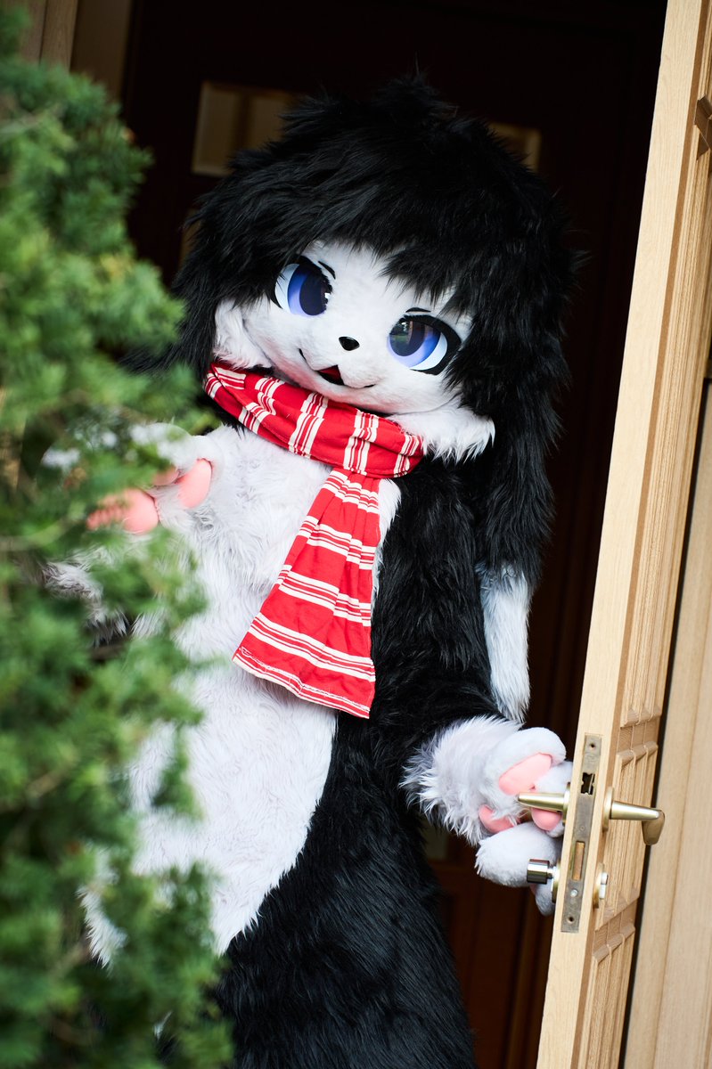 📷 - <a href="/guni1636/">그니 GUNI</a> 
#FursuitEveryday