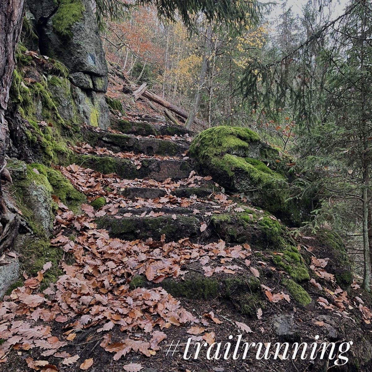 chytraktim's tweet image. Běh v lese a do kopců? Skutečný relax…🙂

#trailrunning #beh #karlovarskykraj