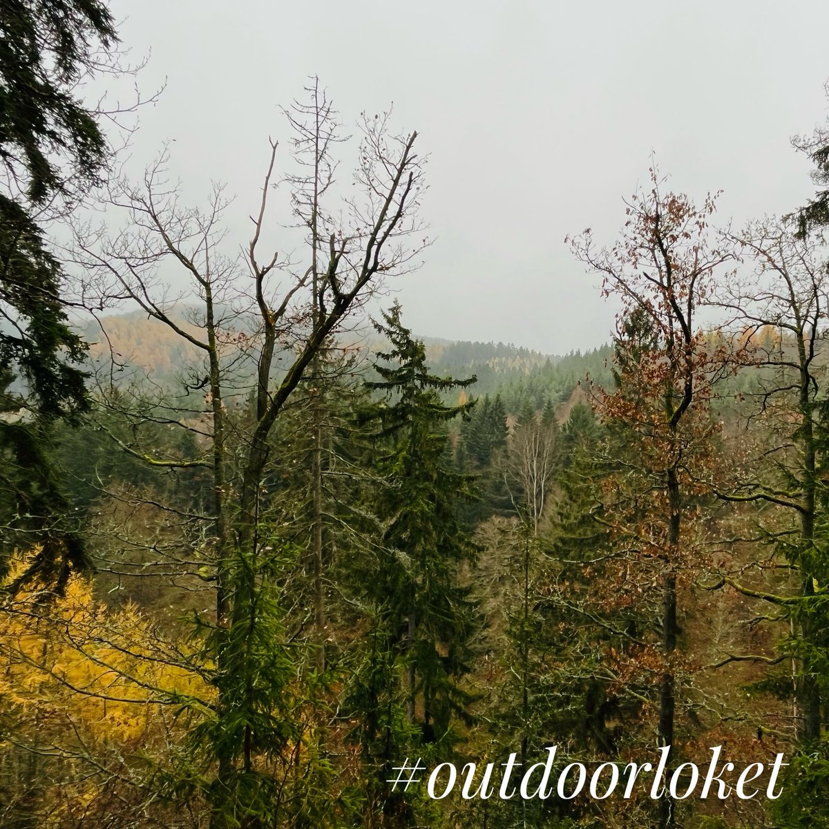 chytraktim's tweet image. Běh v lese a do kopců? Skutečný relax…🙂

#trailrunning #beh #karlovarskykraj