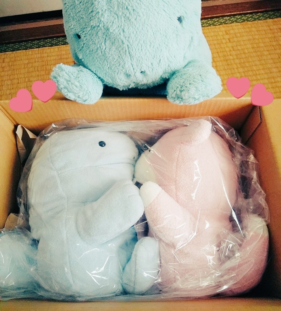 パペヌオとパペヤドがはじめて我が家に来た時の！
抱っこしてたんよ😊😊
#ヌオー
#ヤドン