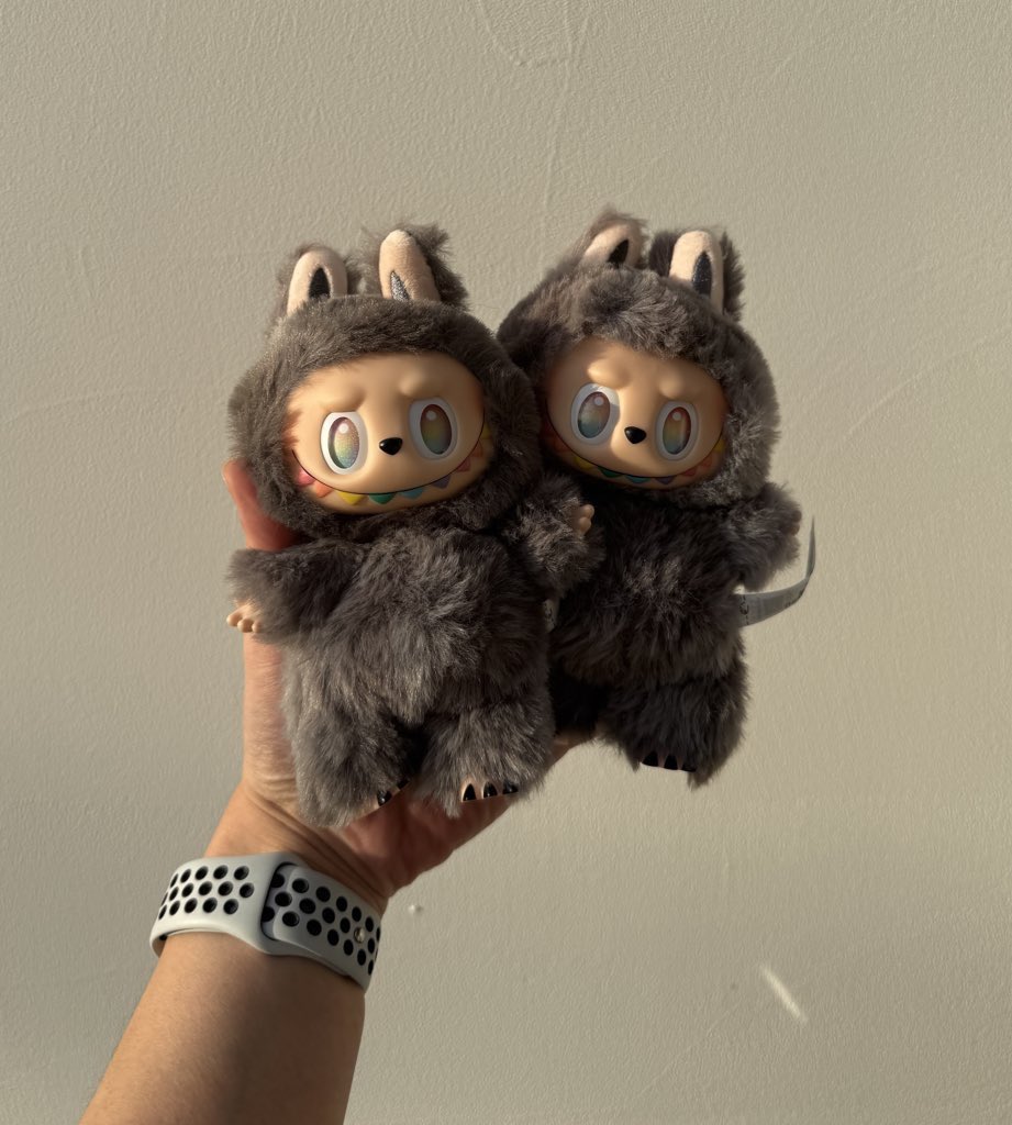 ラブブ好きじゃない人多いから
載せるか迷ったんだけど
あまりに、奇跡だったから...
単品で頼んだ2ピースが
まさかのどっちも
シークレットだったんです...