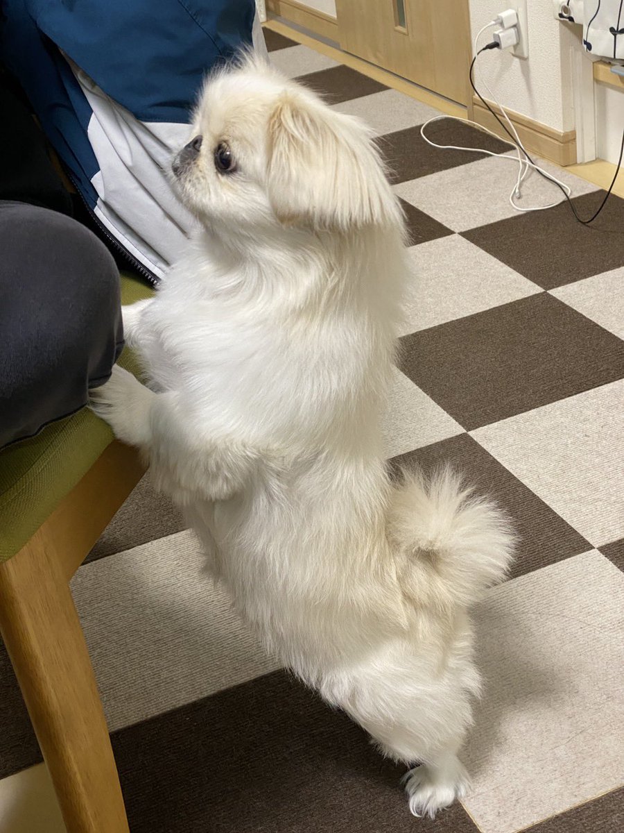 ニコチャンうめ E3%82%A6%E3%83%A1%E3%81%A1%E3%82%83%E3%82%93