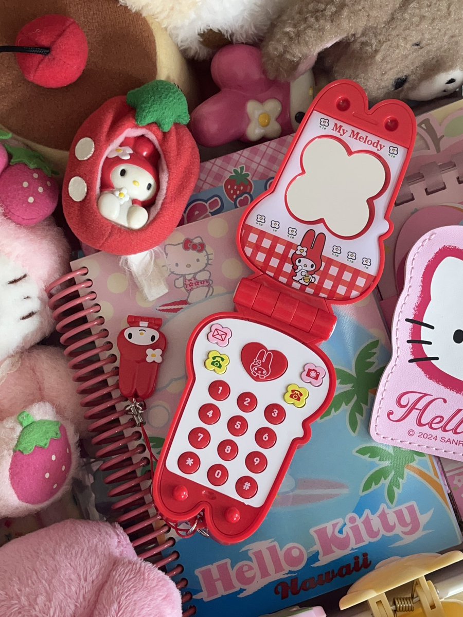 my melody mirror 🤳🏻♥️🐰