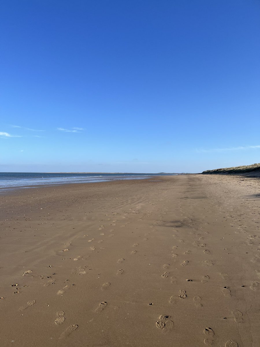 Anthony Doyle tweet media