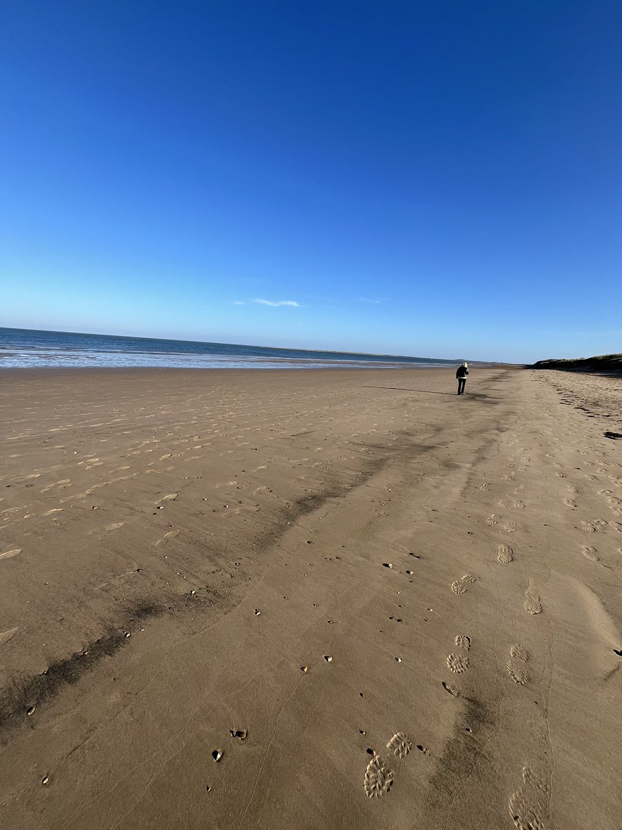 Anthony Doyle tweet media