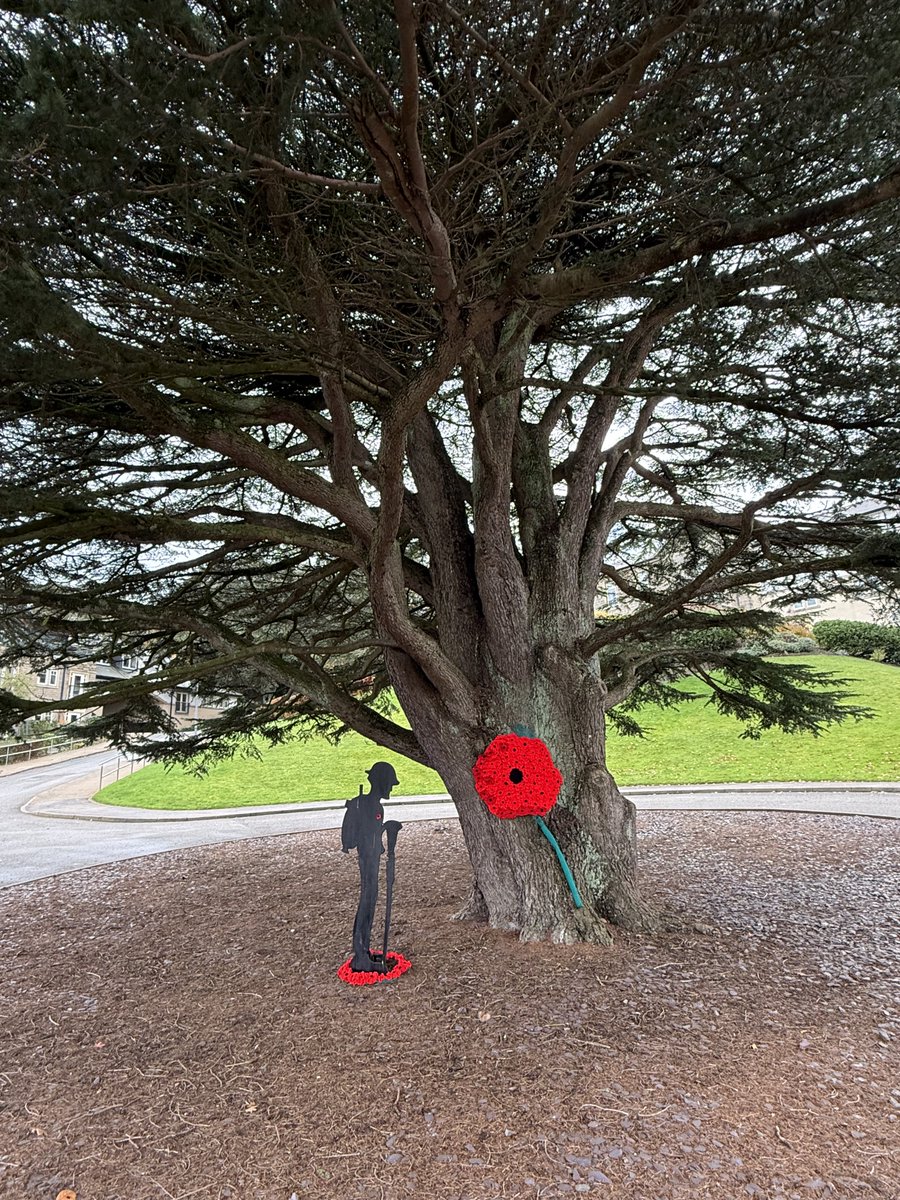 Andy (@cyclist_andyc) on Twitter photo 