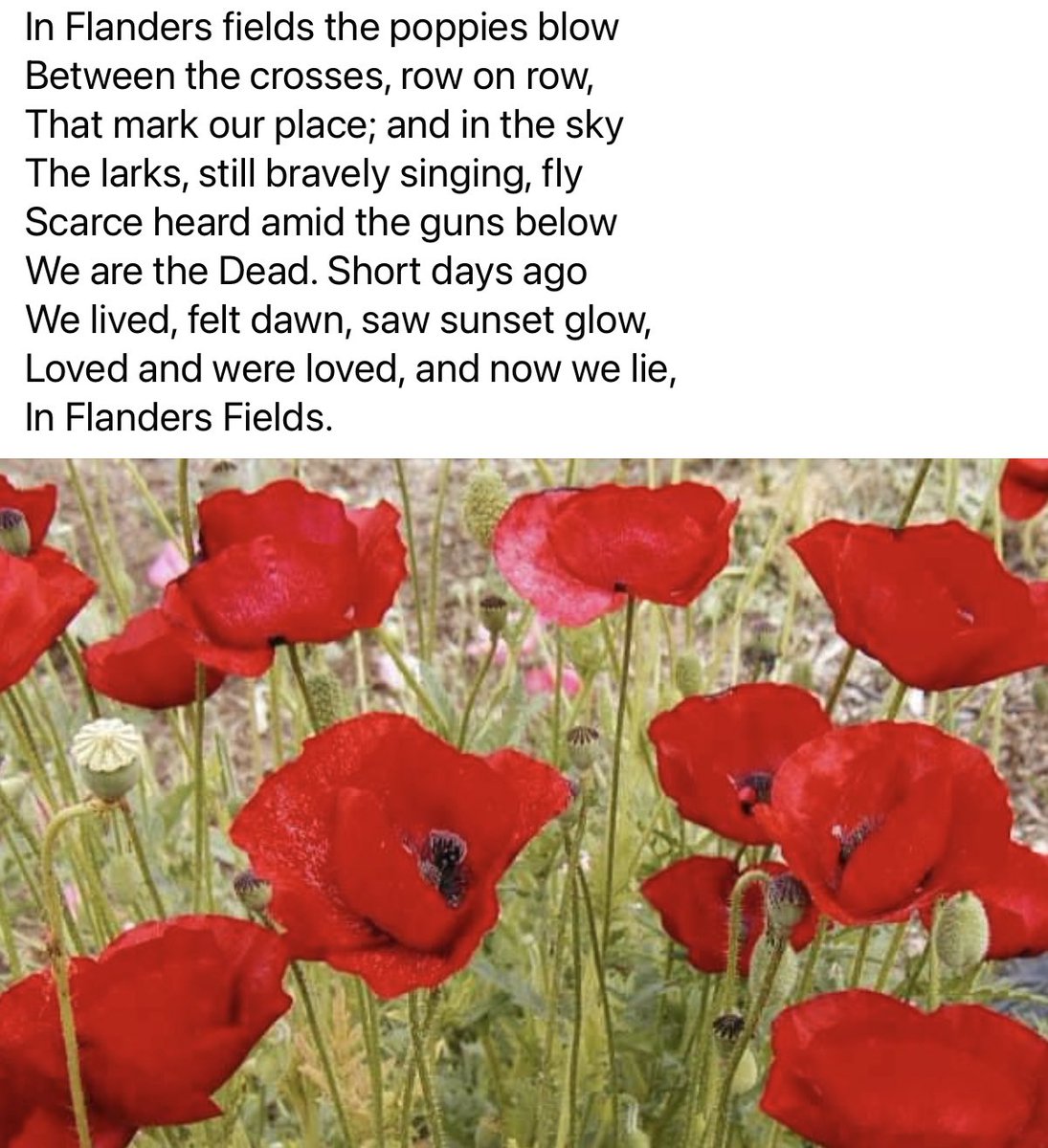 Never ever forget the sacrifice that others made in the service of their country so that we could live in freedom.
#lestweforget