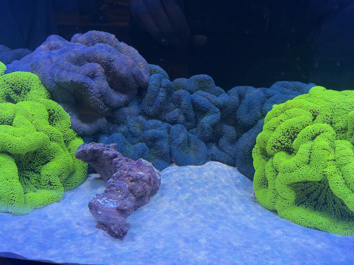 加納裕三@bitFlyer on X