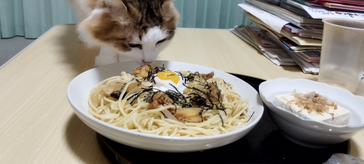 カンノ ケンジ (@682Kx85xrMknafr) / Posts / X