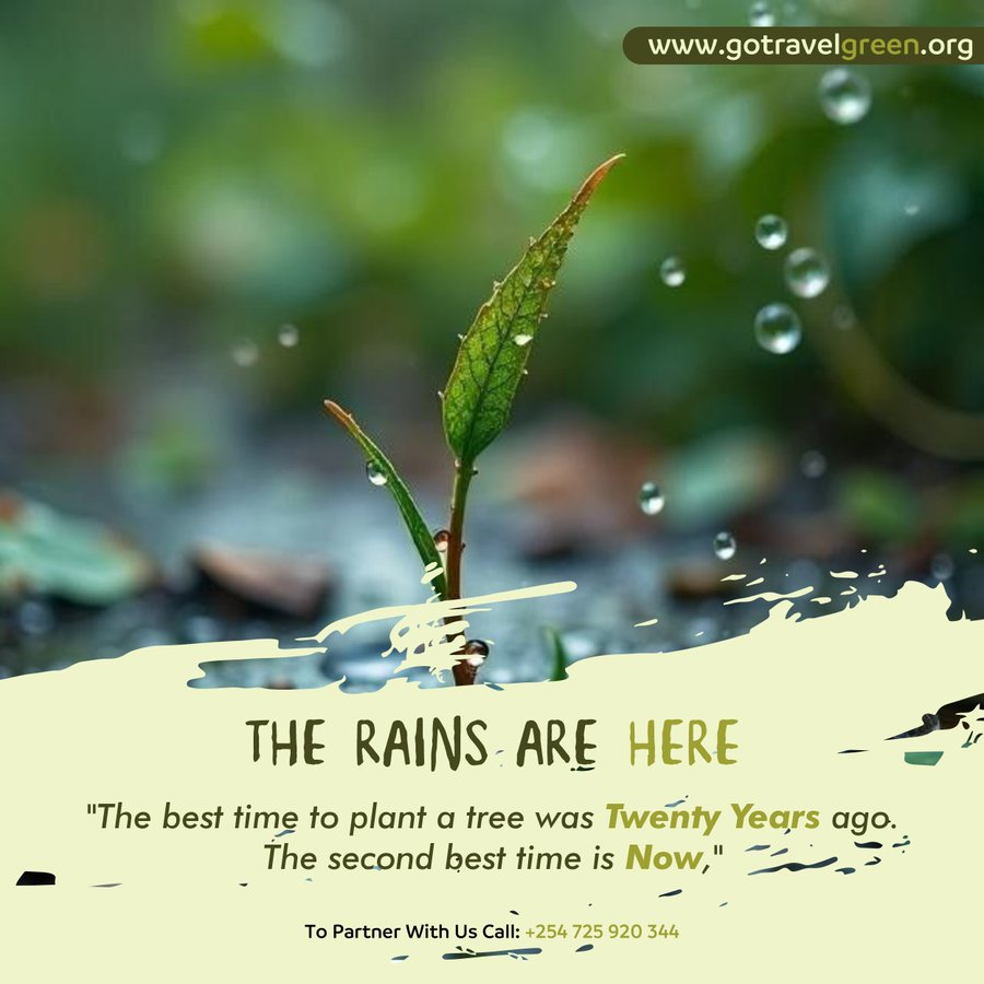 ZIARA Group AFRICA ♼ tweet media