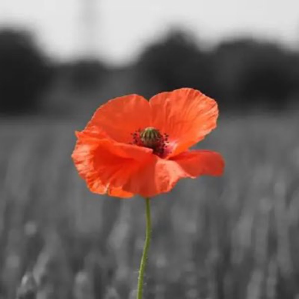 Rangers_FAB's tweet photo. We will remember them https://t.co/YFagupJiIR
